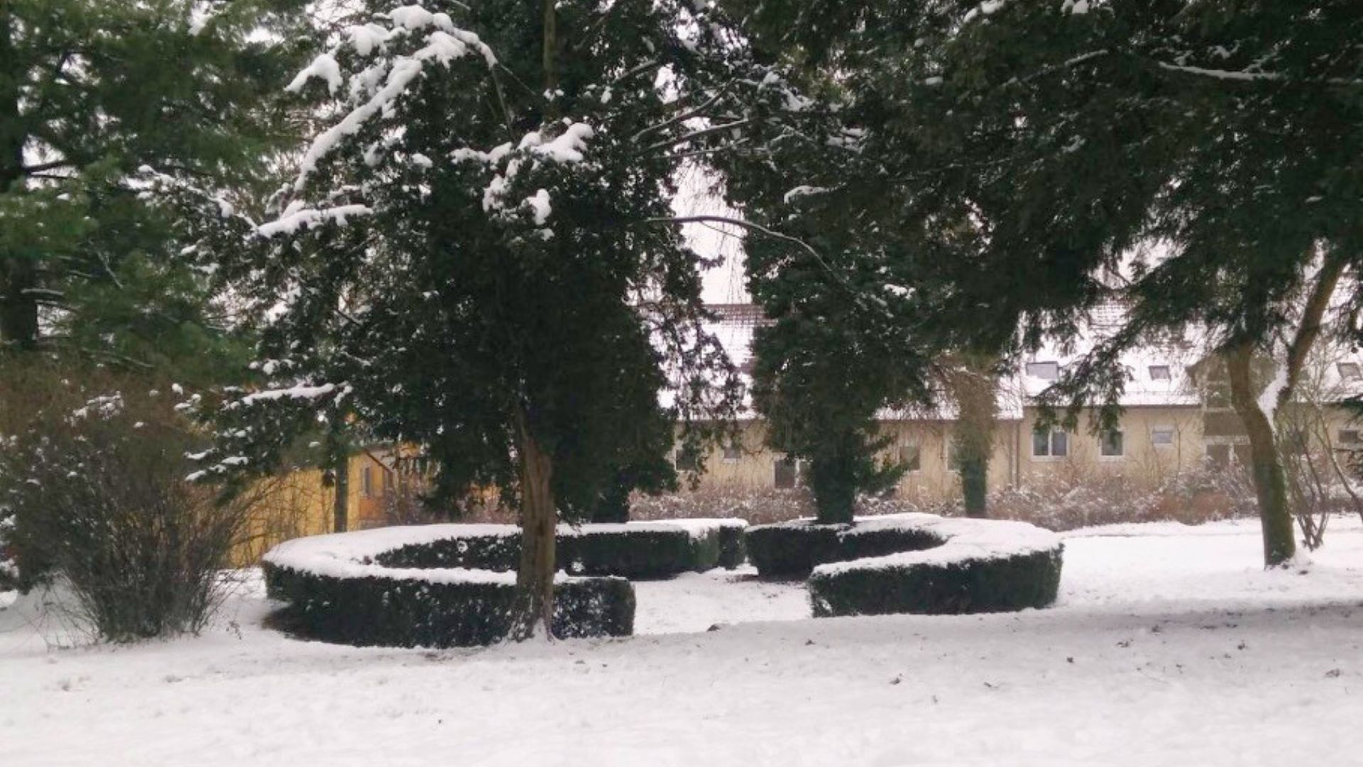 Weststadtpark Pforzheim im Winter 2014 - verschneiter Park mit Bäumen und Gebäuden